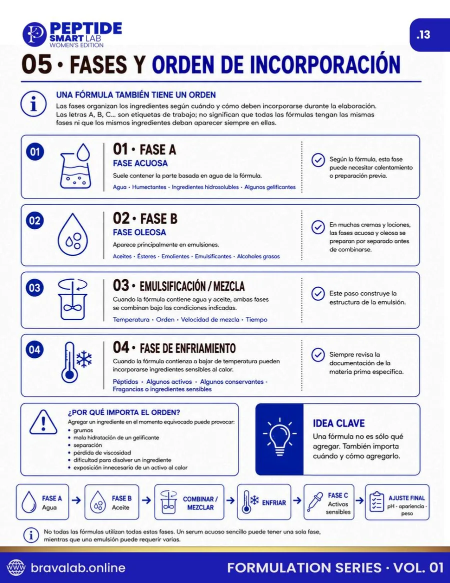 Fases y orden de incorporación